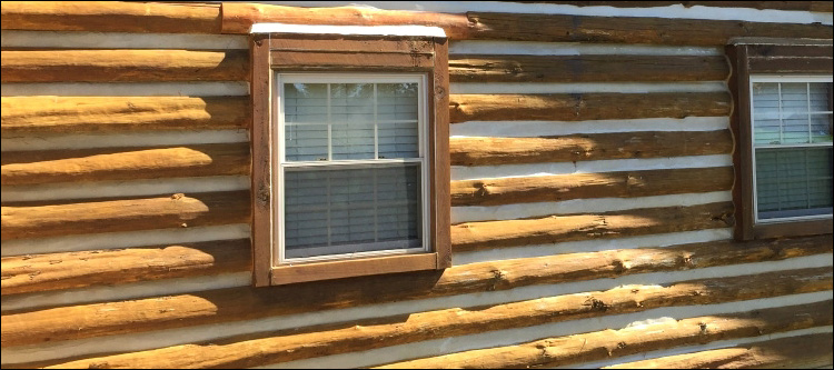 Log Home Whole Log Replacement  White County, Georgia